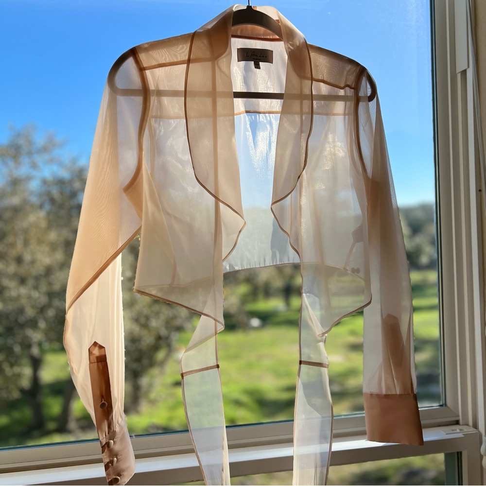L’Academie, The Joyelle Top in Nude, Sheer Blouse with Long Sleeves